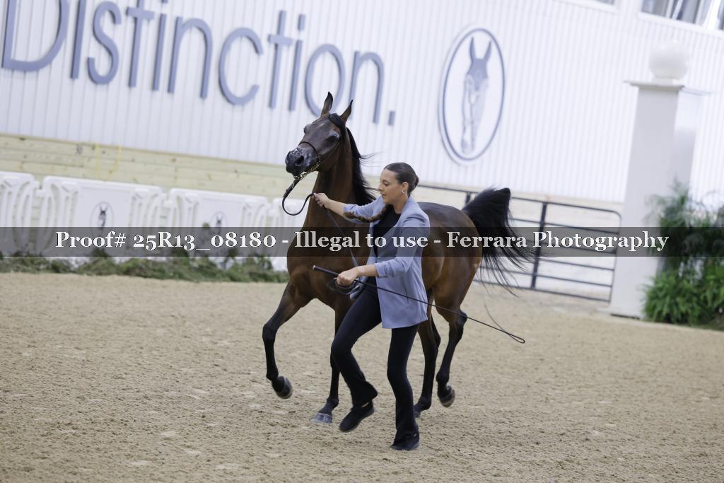 Proof 25R13_08180