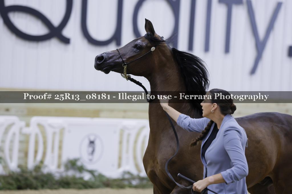 Proof 25R13_08181