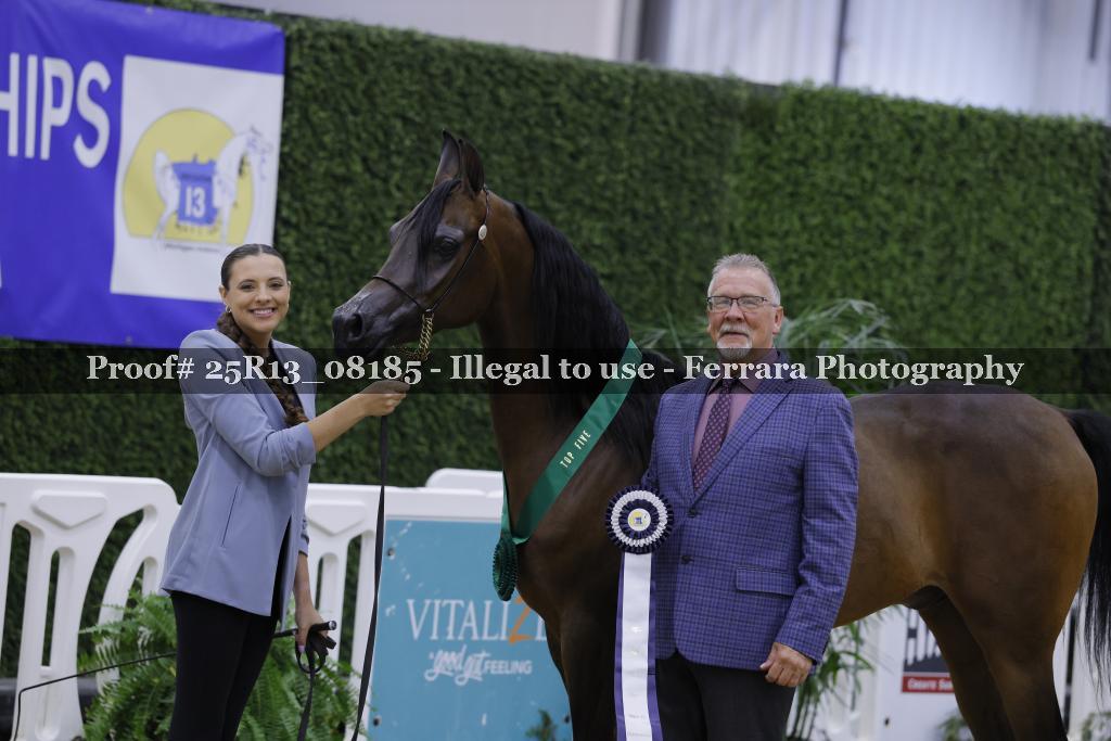 Proof 25R13_08185