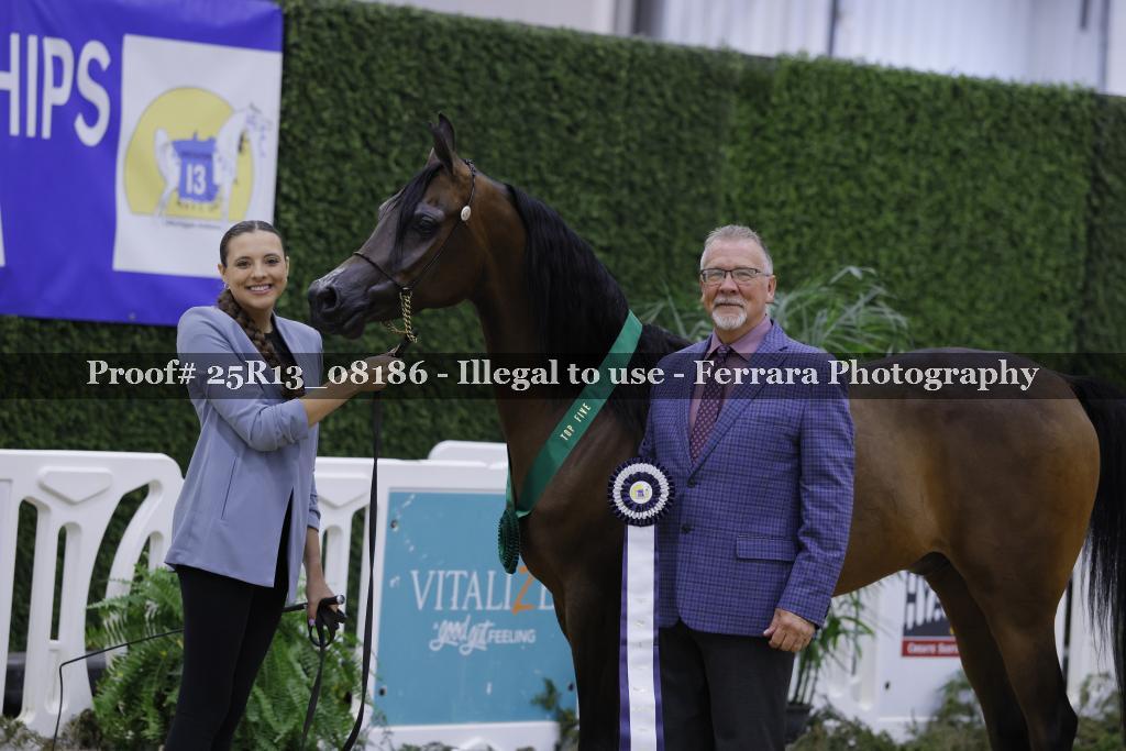 Proof 25R13_08186