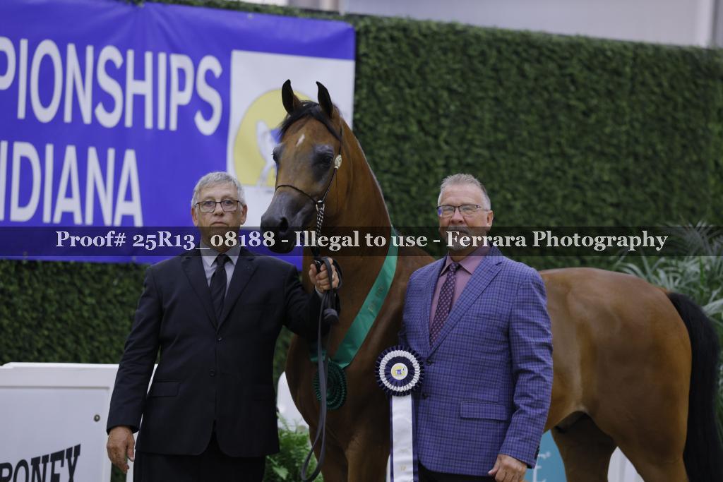 Proof 25R13_08188