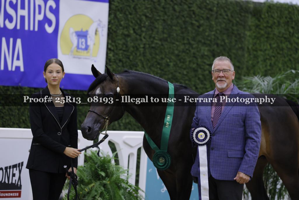 Proof 25R13_08193