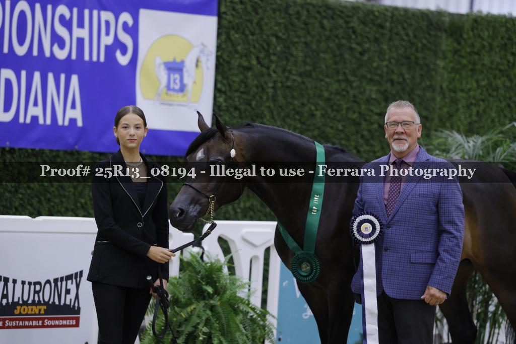 Proof 25R13_08194