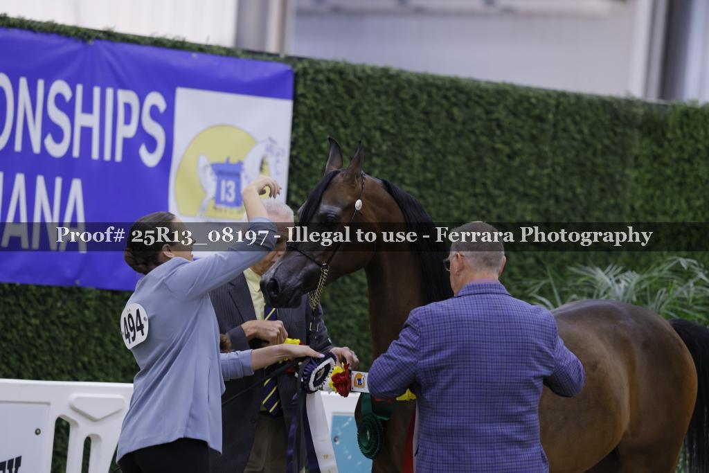 Proof 25R13_08197
