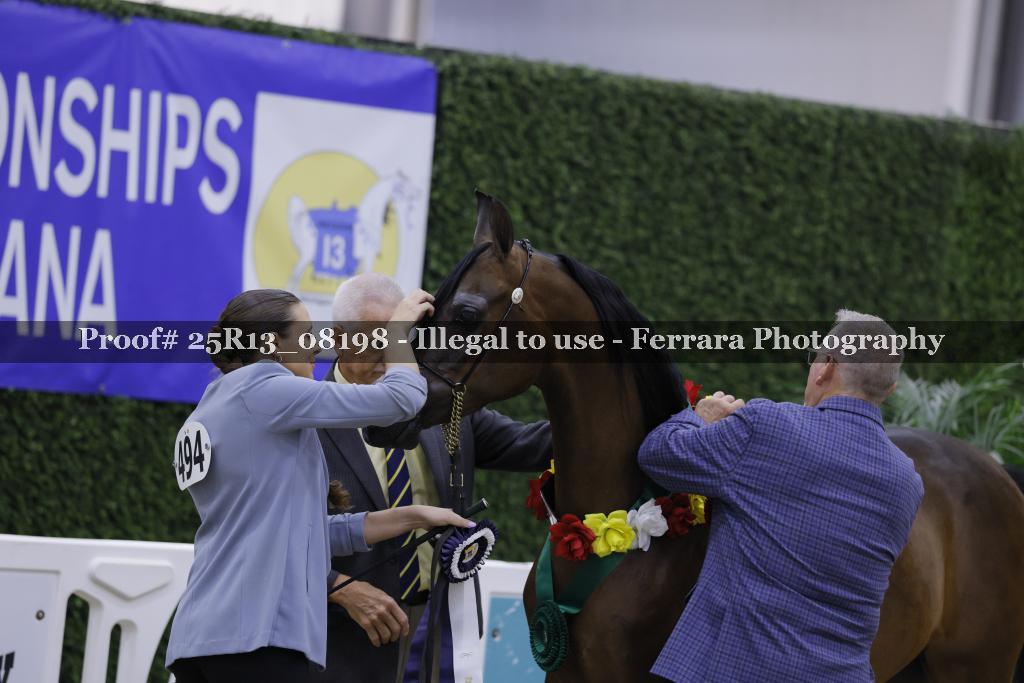 Proof 25R13_08198