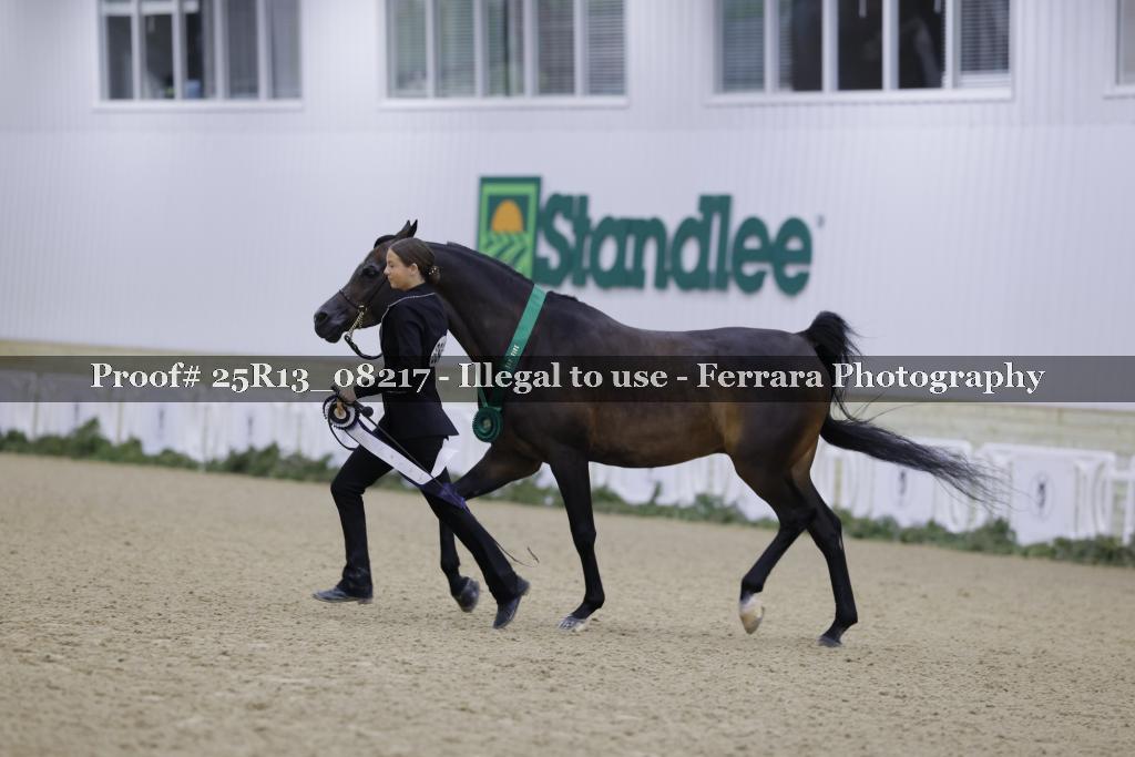 Proof 25R13_08217