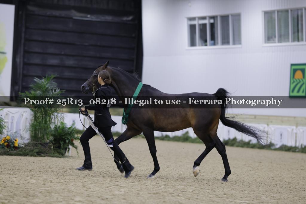 Proof 25R13_08218