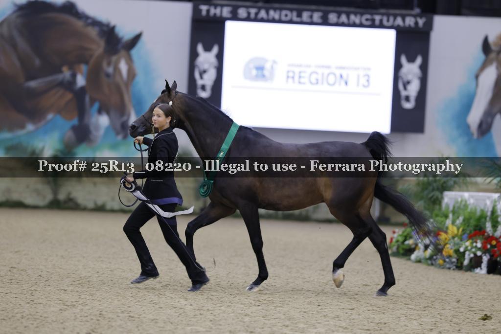 Proof 25R13_08220