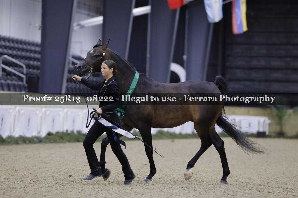 Proof 25R13_08222