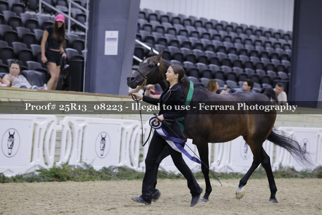 Proof 25R13_08223
