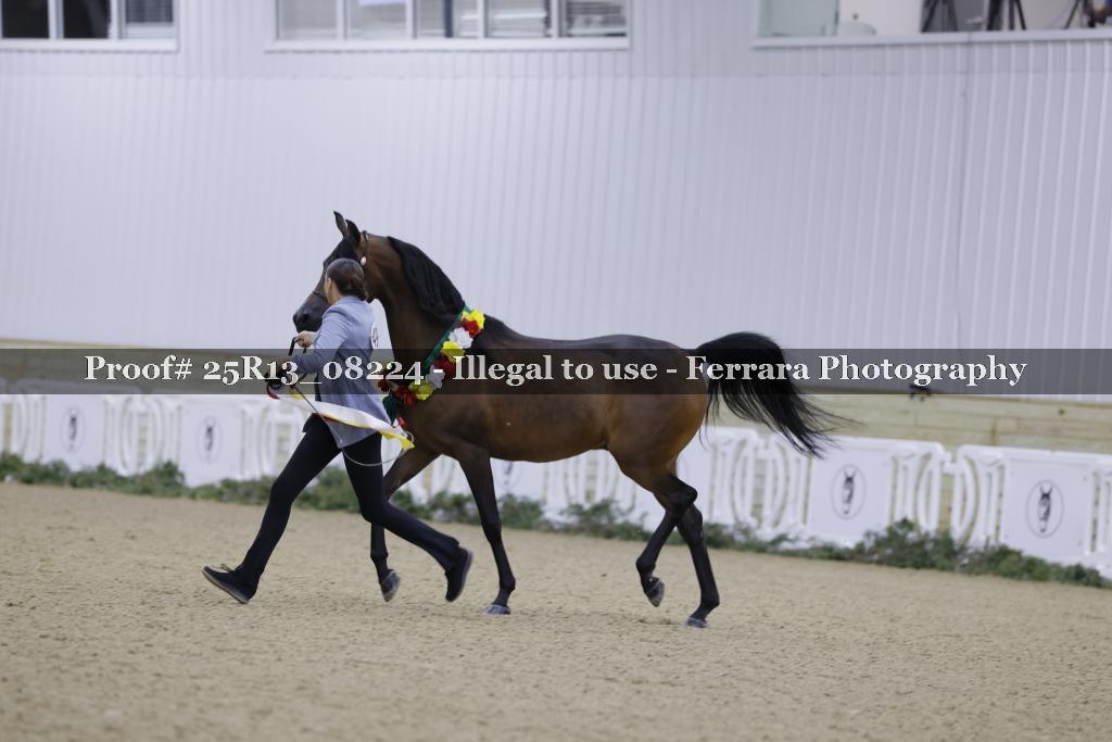 Proof 25R13_08224