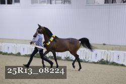25R13_08224 proof
