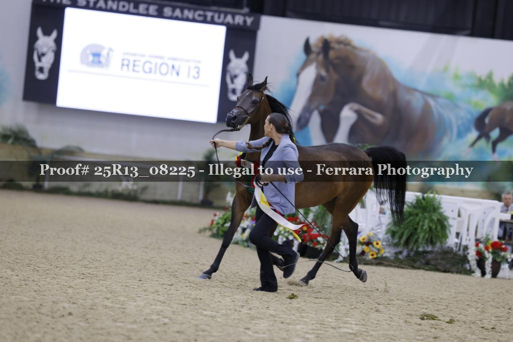 Proof 25R13_08225