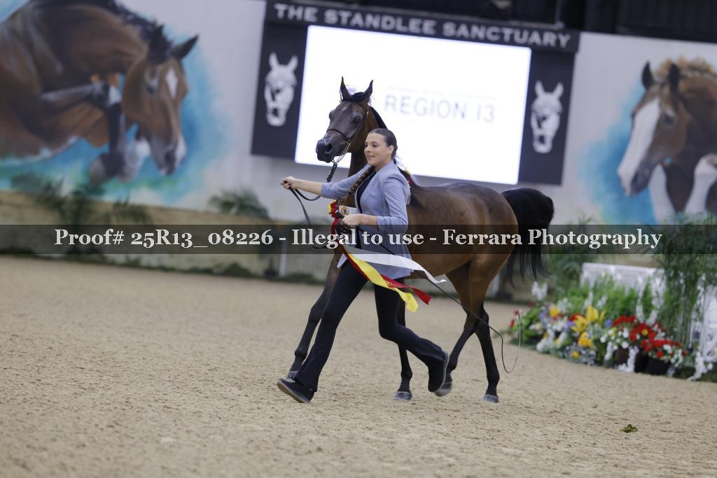 Proof 25R13_08226