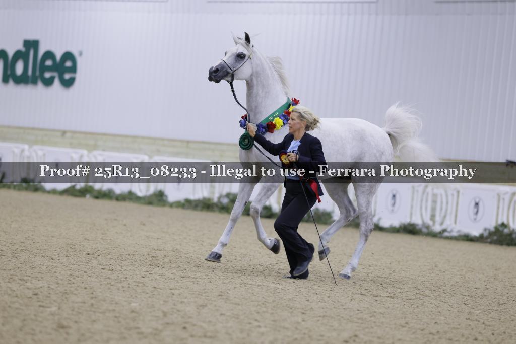 Proof 25R13_08233