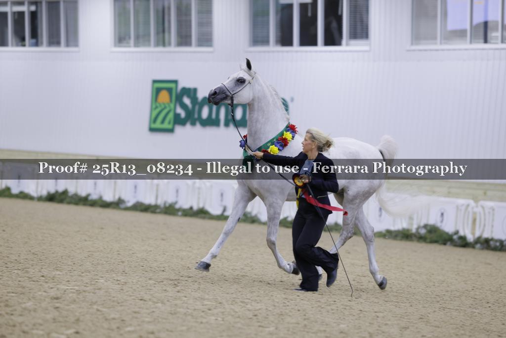 Proof 25R13_08234