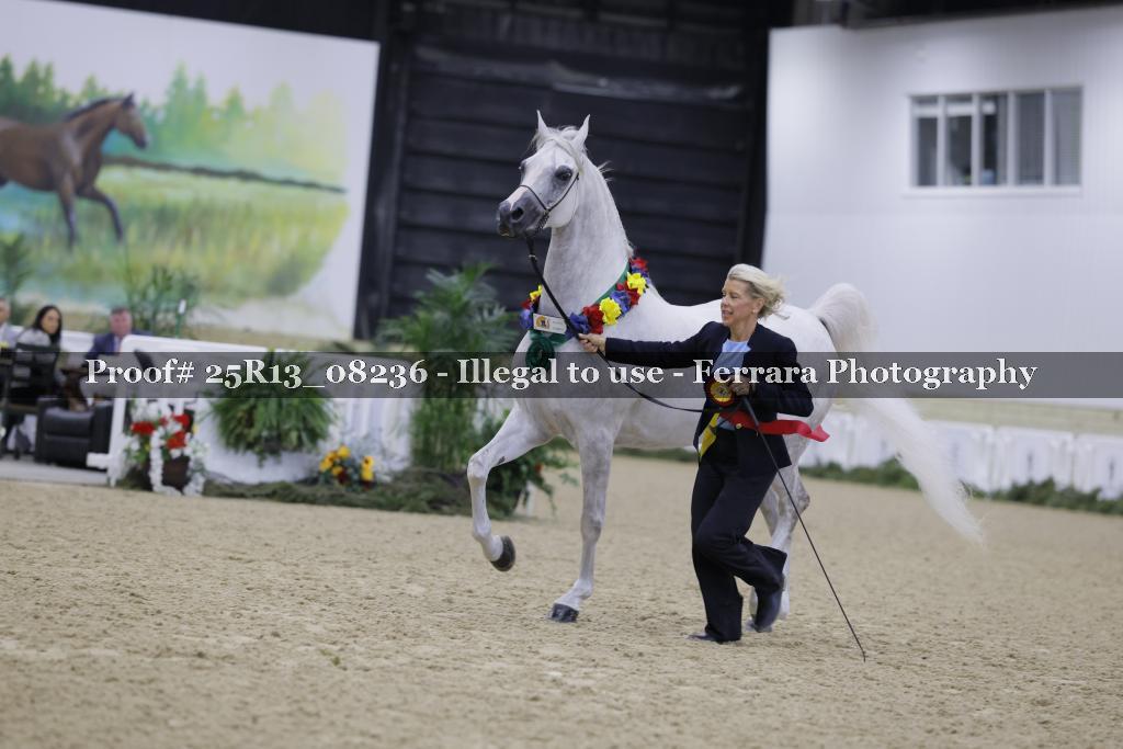 Proof 25R13_08236