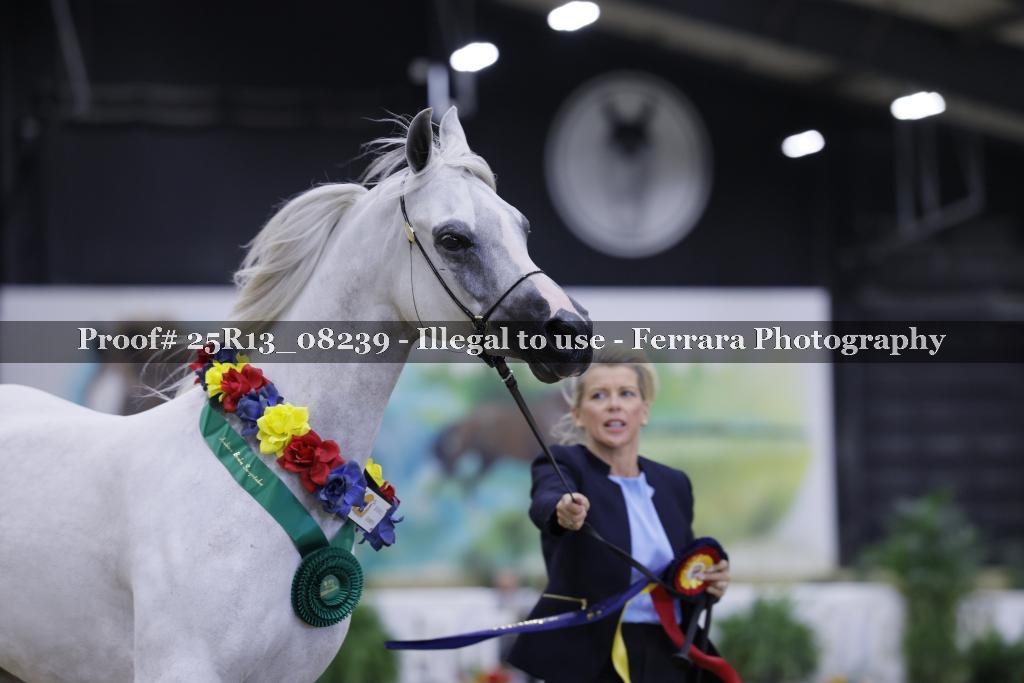 Proof 25R13_08239