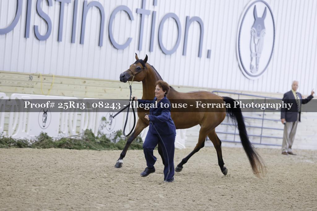 Proof 25R13_08243