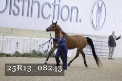 25R13_08243 proof