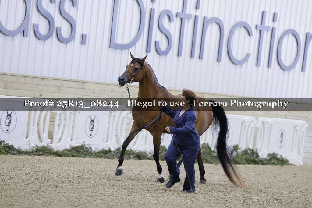 Proof 25R13_08244