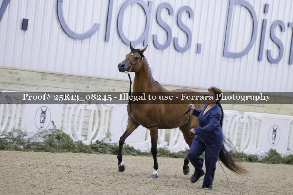 Proof 25R13_08245