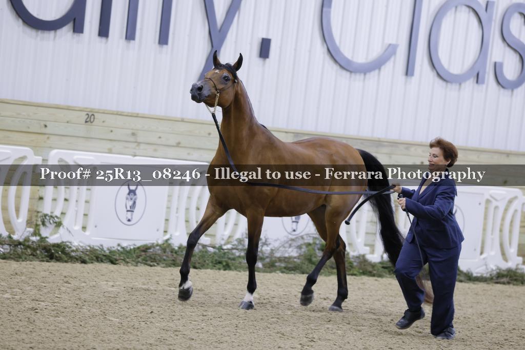 Proof 25R13_08246