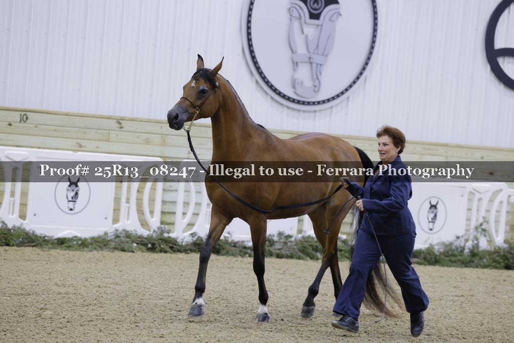 Proof 25R13_08247