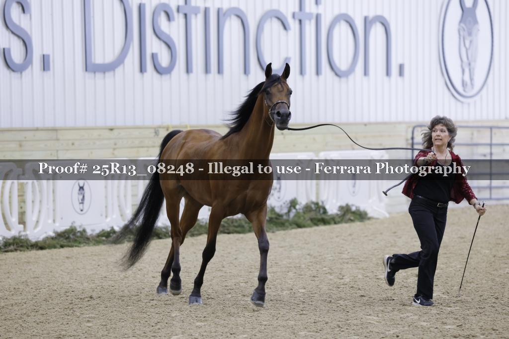 Proof 25R13_08248