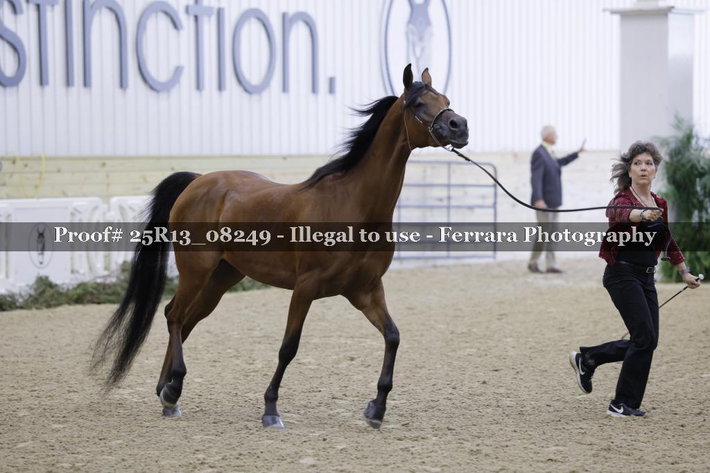 Proof 25R13_08249