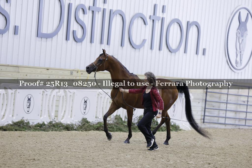 Proof 25R13_08250