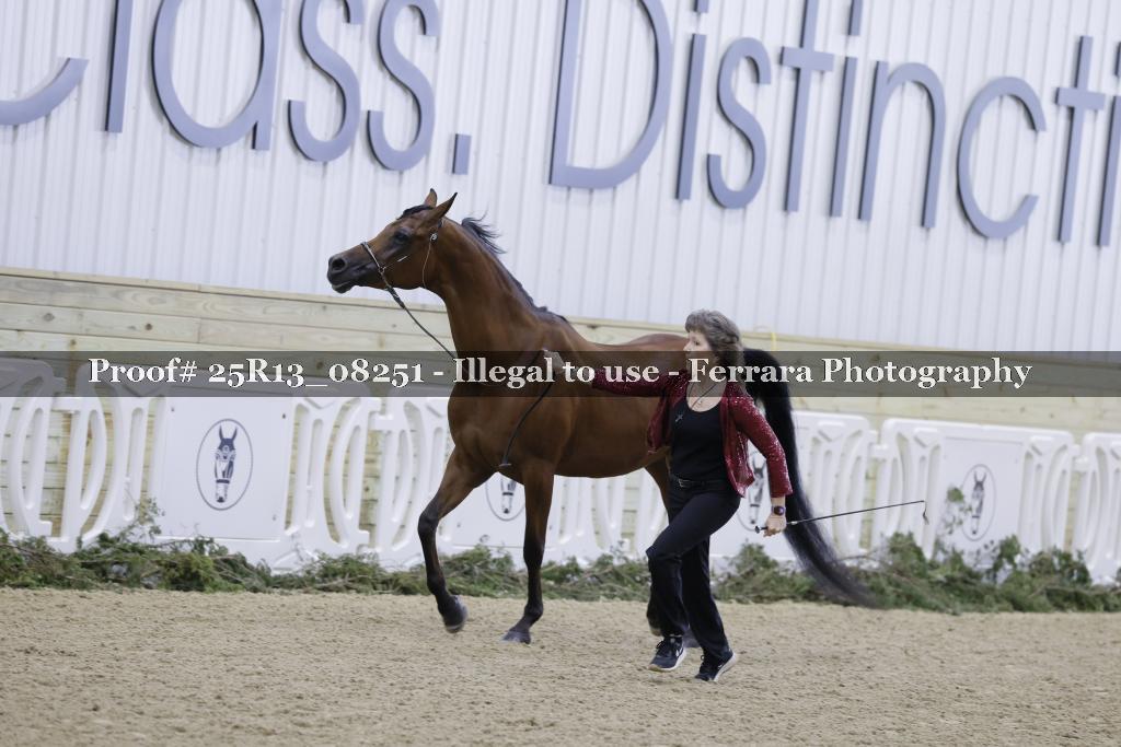 Proof 25R13_08251