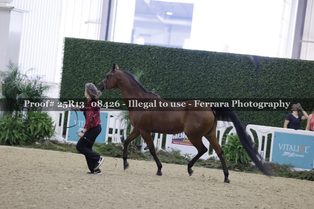 Proof 25R13_08426