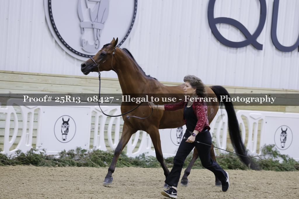 Proof 25R13_08427
