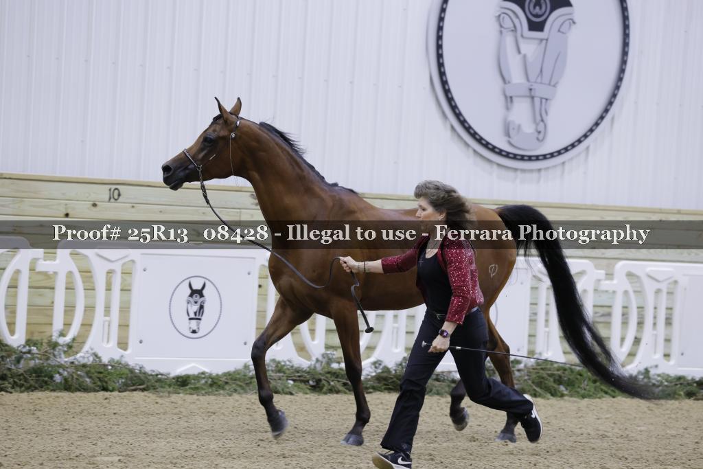 Proof 25R13_08428