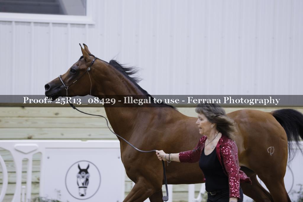 Proof 25R13_08429