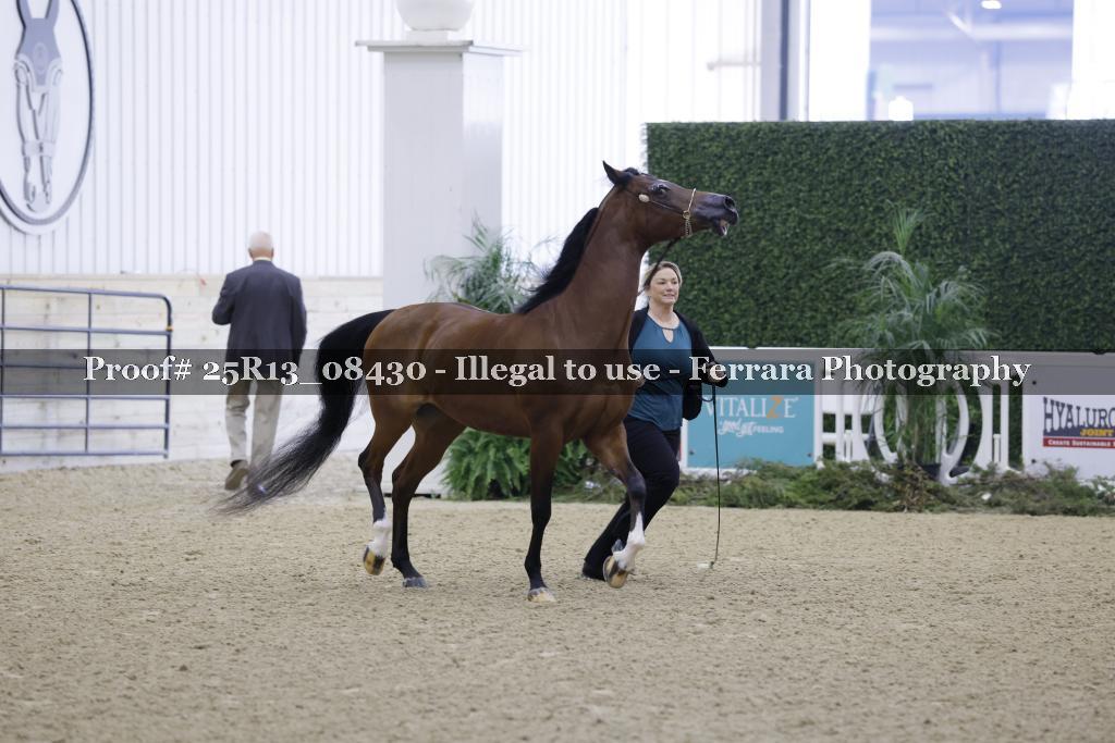 Proof 25R13_08430