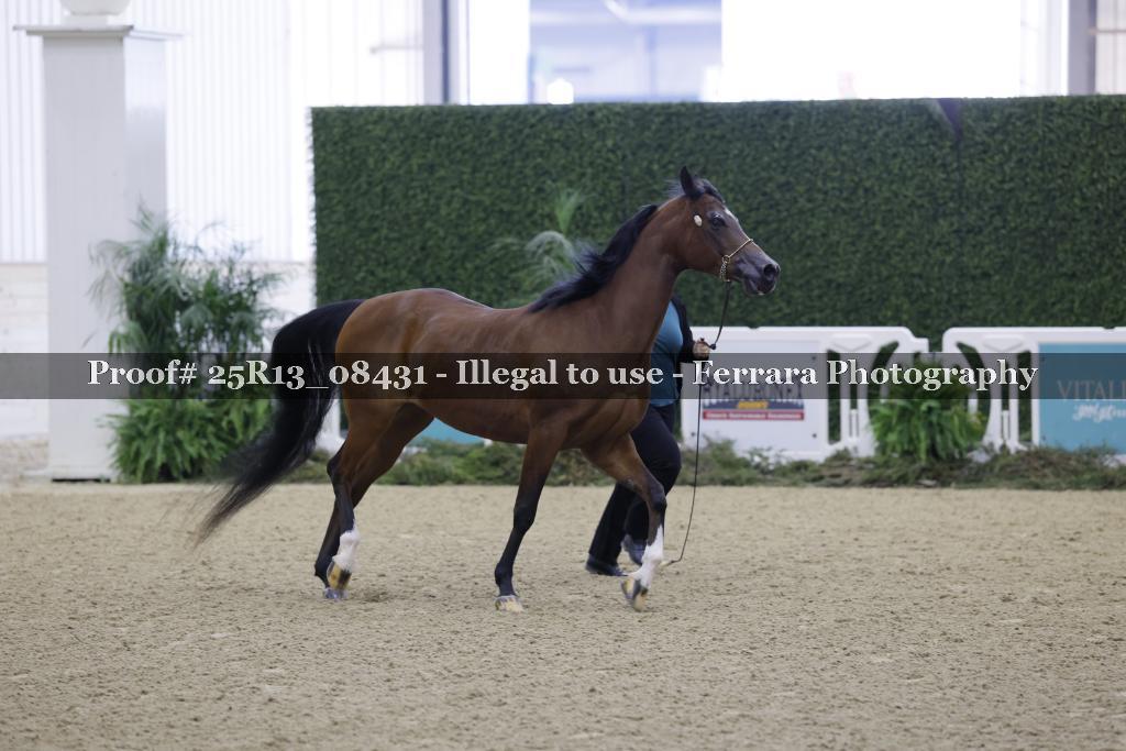 Proof 25R13_08431