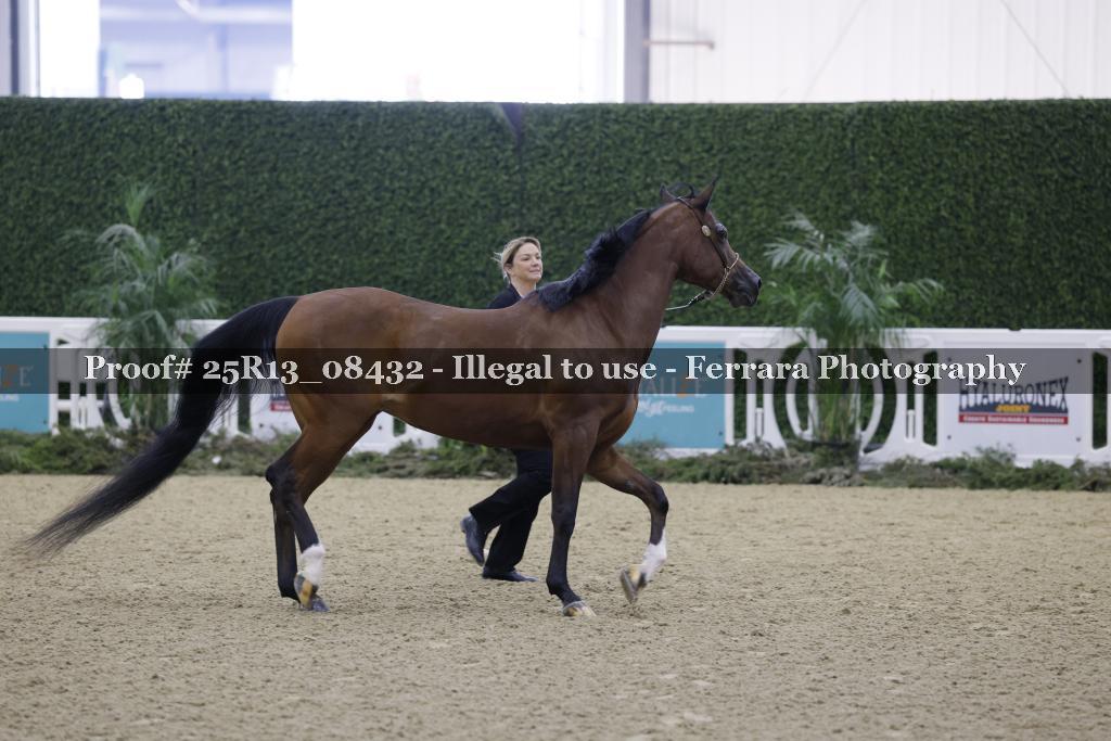 Proof 25R13_08432