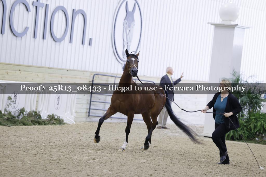 Proof 25R13_08433