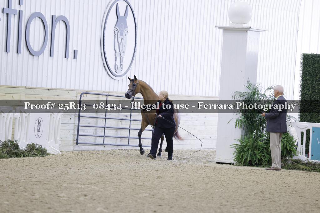 Proof 25R13_08434