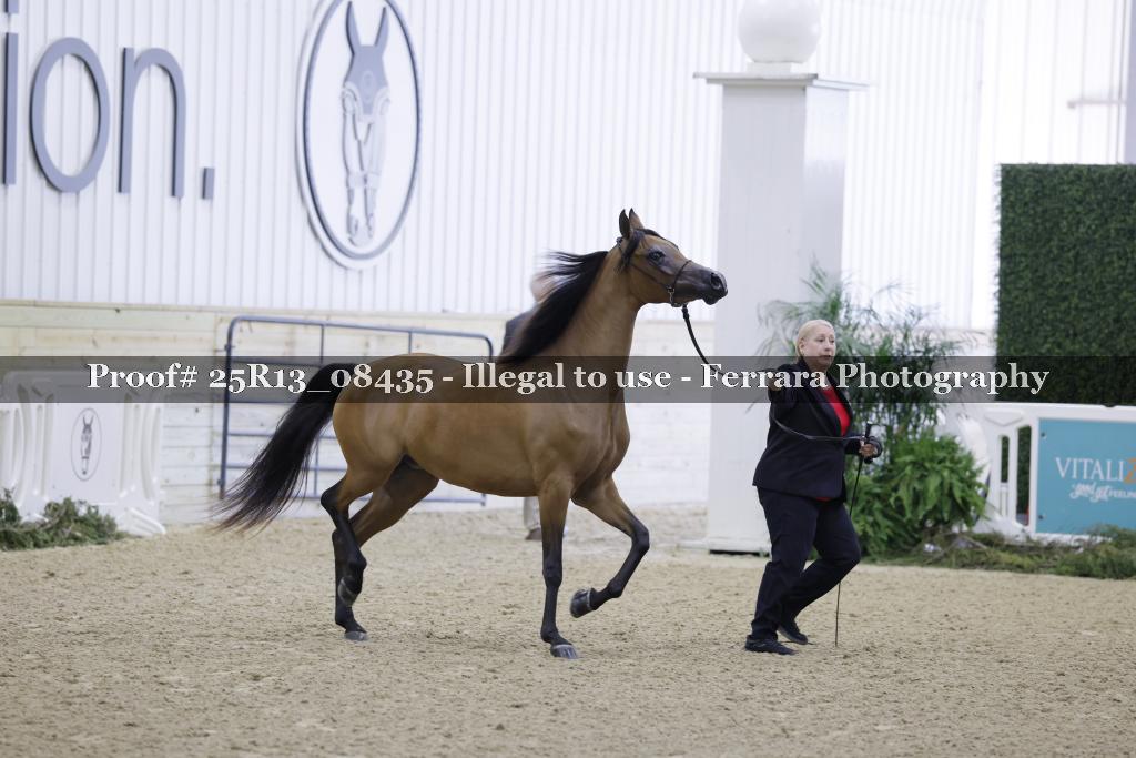 Proof 25R13_08435