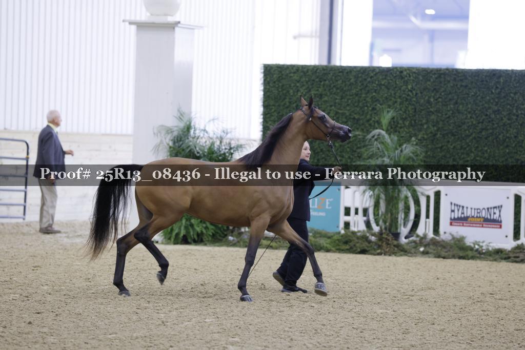 Proof 25R13_08436