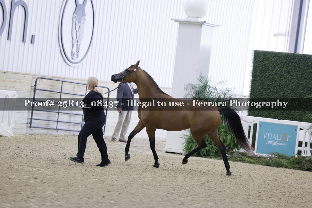 Proof 25R13_08437