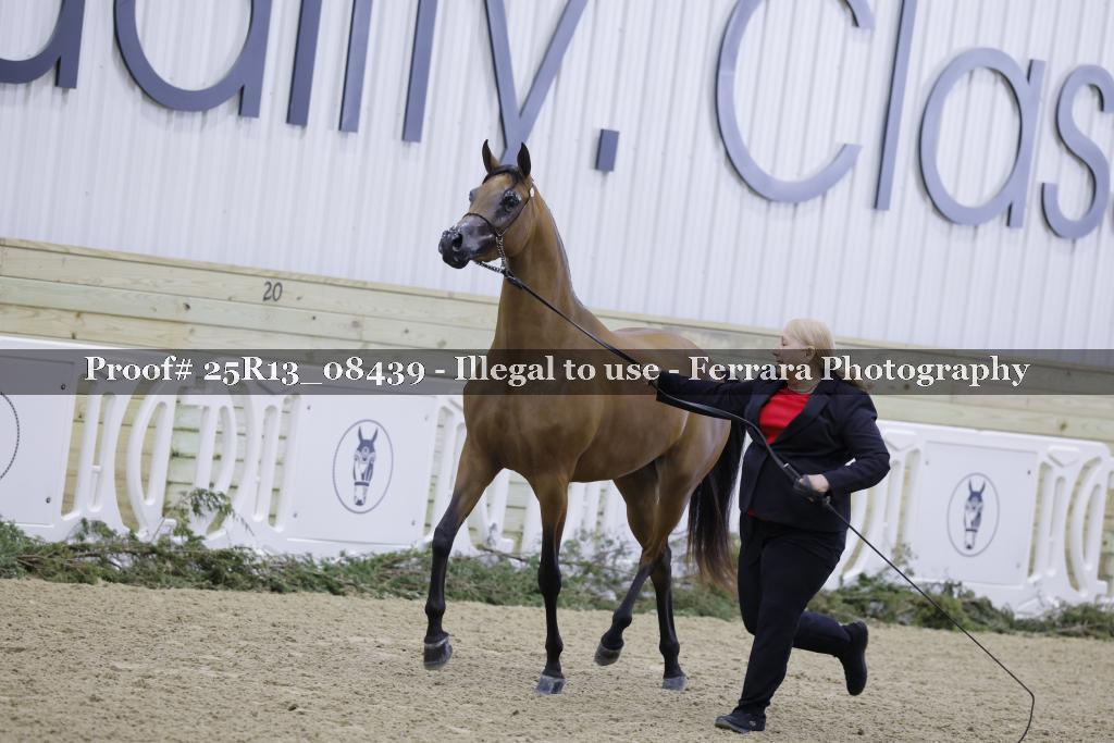 Proof 25R13_08439