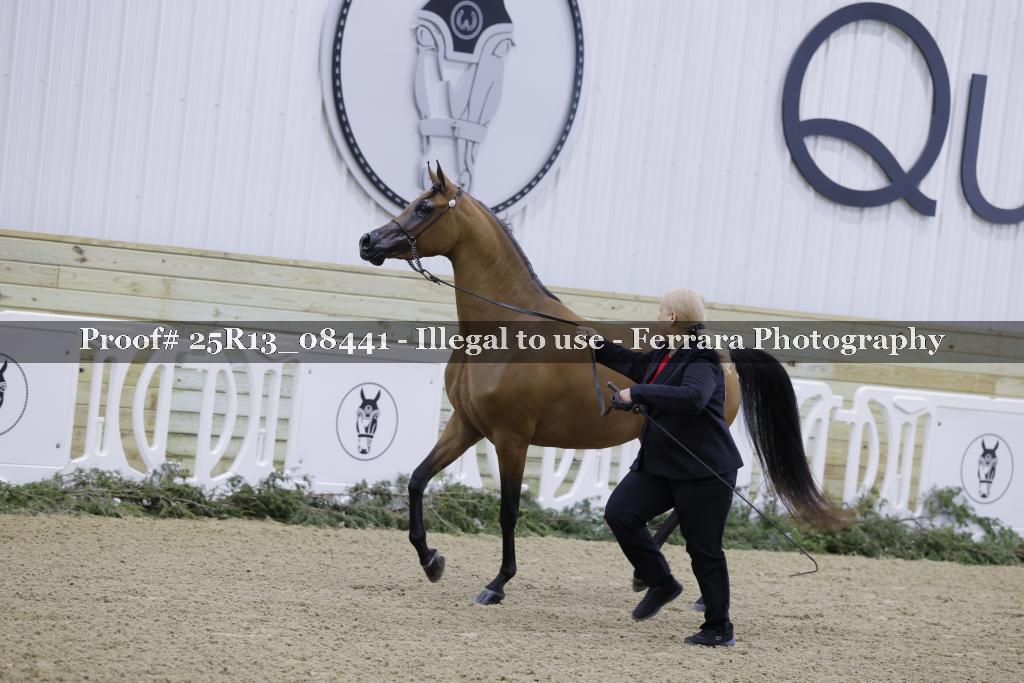 Proof 25R13_08441
