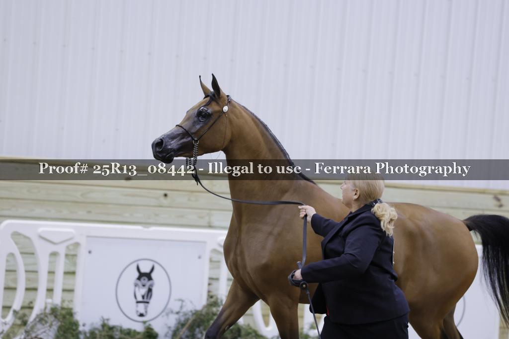 Proof 25R13_08442