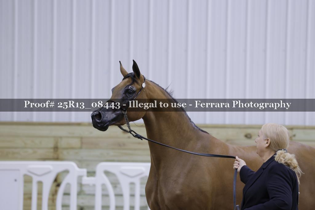 Proof 25R13_08443