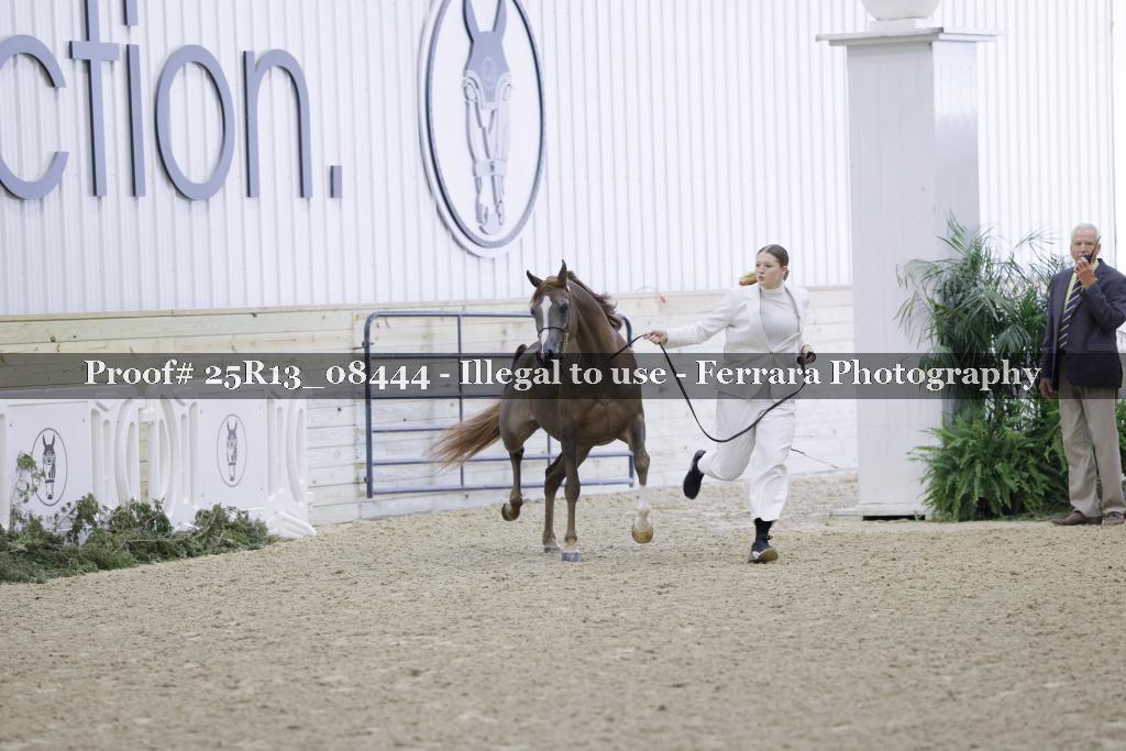 Proof 25R13_08444