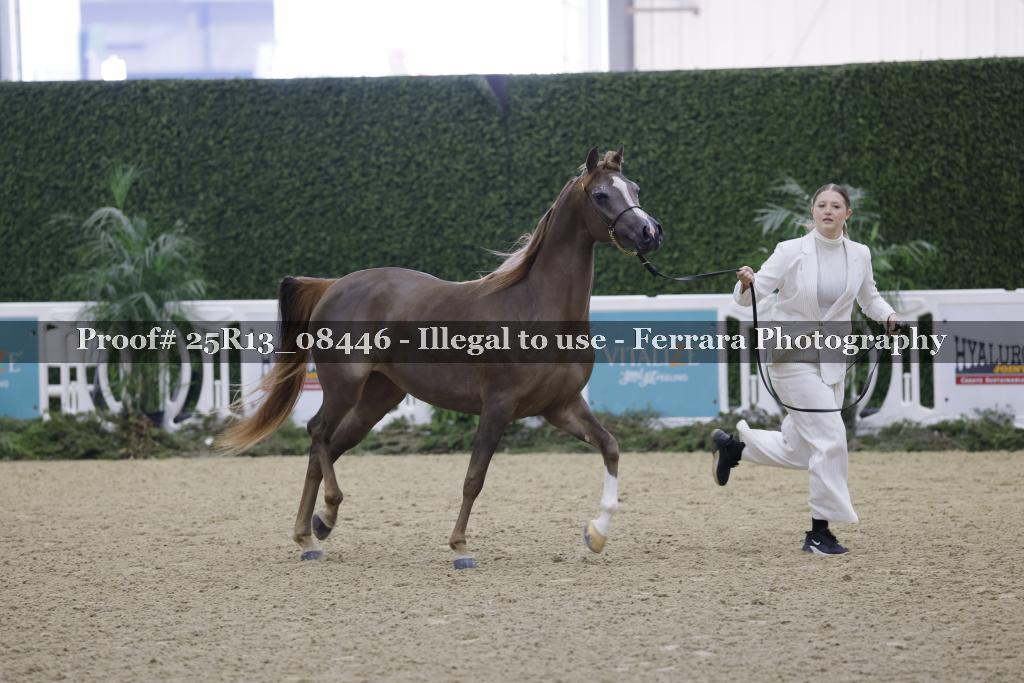 Proof 25R13_08446